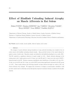 Effect of Hindlimb Unloading Induced Atrophy on MuscleAfferents in