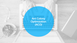 Ant Colony Optimization (ACO)