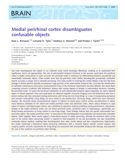 Medial perirhinal cortex disambiguates