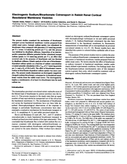 Basolateral Membrane Vesicles