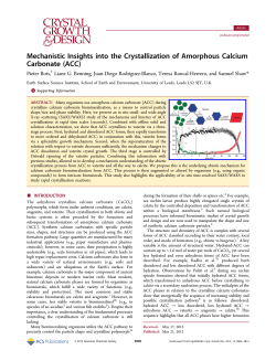 Mechanistic Insights into the Crystallization of Amorphous Calcium