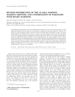 revised distribution of the alaska marmot, marmota broweri, and