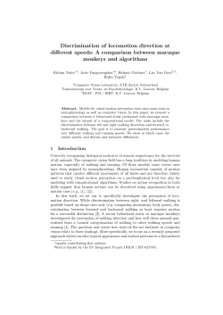 Discrimination of locomotion direction at different speeds: A