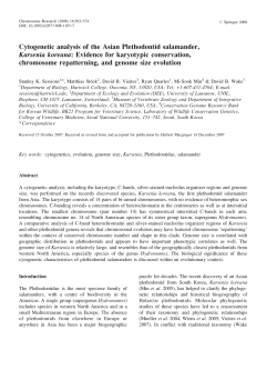 Cytogenetic analysis of the Asian Plethodontid salamander