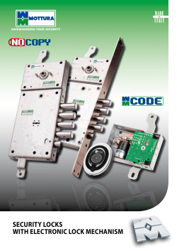 SECURITY LOCKS WITH ELECTRONIC LOCK MECHANISM