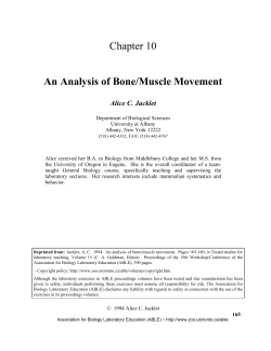 An Analysis of Bone/Muscle Movement