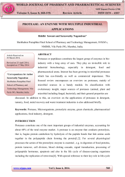 PROTEASE: AN ENZYME WITH MULTIPLE INDUSTRIAL