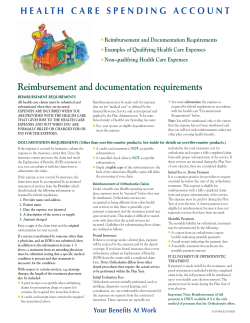 Health Care Spending Account Examples of