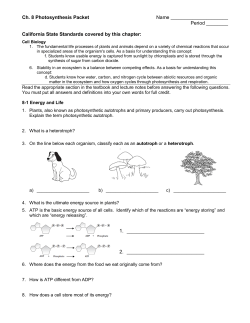 ch. 8 photosynthesis packet-2009