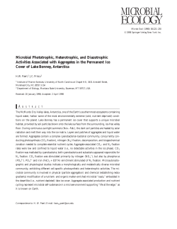 Microbial Phototrophic, Heterotrophic, and Diazotrophic Activities