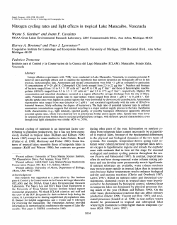 Nitrogen cycling rates and light effects in tropical Lake Maracaibo