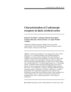 Characterization of b-adrenergic receptors in duck cerebral cortex