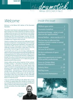 The Drumstick Newsletter Winter 2013