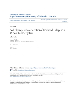 Soil Physical Characteristics of Reduced Tillage in a Wheat