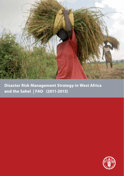 Disaster Risk Management Strategy in West Africa and the Sahel