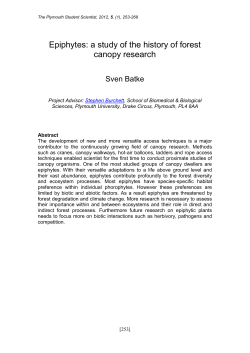 Epiphytes: a study of the history of forest canopy research