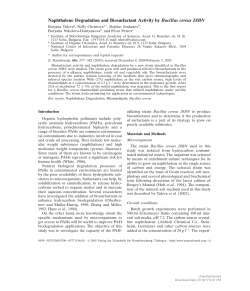 Naphthalene Degradation and Biosurfactant Activity by