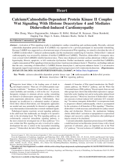 Calcium/Calmodulin-Dependent Protein Kinase II