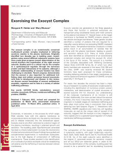 Exorcising the Exocyst Complex