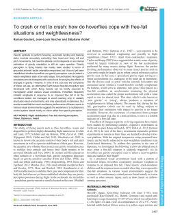 To crash or not to crash: how do hoverflies cope with free