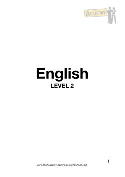 level 2 - the academy