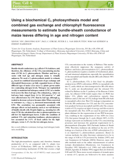 Using a biochemical C4 photosynthesis model and