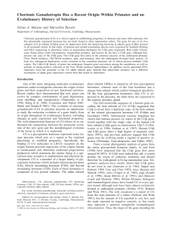 Chorionic Gonadotropin Has a Recent Origin Within Primates and