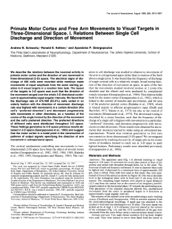 Primate Motor Cortex and Free Arm Movements to Visual Targets in