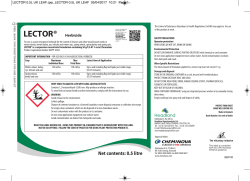 FLINT 500g 130x220 BASE - Headland Agrochemicals