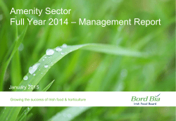 Amenity Sector Full Year 2014-Management Report