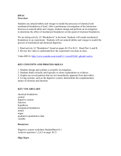BW14 Overview: Students use antacid tablets and vinegar to model