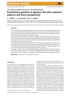 as a PDF