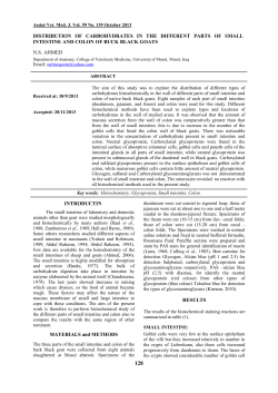 distribution of carbohydrates in the different parts of small intestine