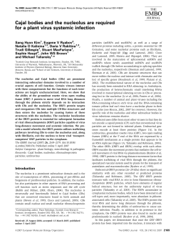 Cajal bodies and the nucleolus are required for a plant virus