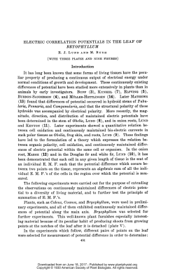 ELECTRIC CORRELATION POTENTIALS IN THE LEAF OF