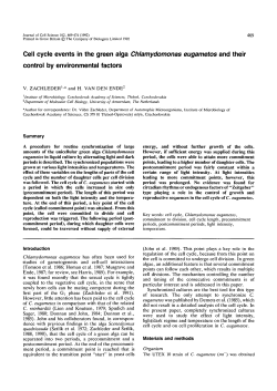 Cell cycle events in the green alga Chlamydomonas eugametos and