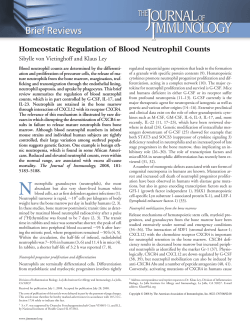 Homeostatic Regulation of Blood Neutrophil Counts