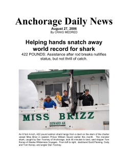 Helping hands snatch away world record for shark