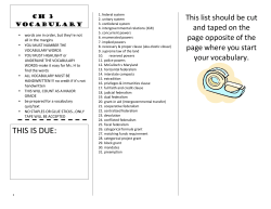 Ch 3 vocabulary