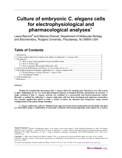 Culture of embryonic C. elegans cells for