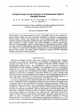 A Rapid Procedure for the Detection of