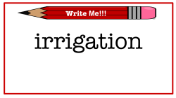 Mesopotamia Vocabulary