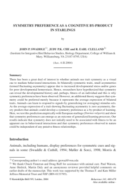Symmetry Preference as a Cognitive By