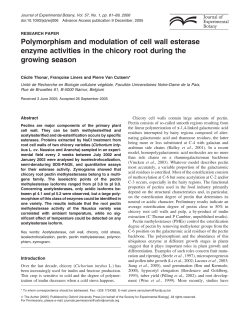 Polymorphism and modulation of cell wall esterase enzyme