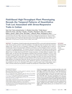 Field-Based High-Throughput Plant Phenotyping Reveals the