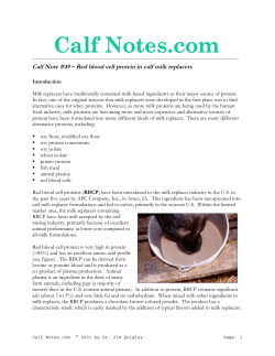 Calf Note #49 - Red blood cell protein in calf milk