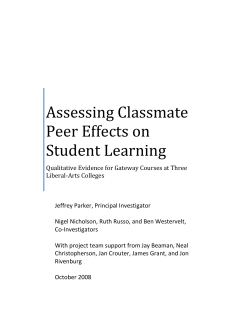 Assessing Classmate Peer Effects on Student