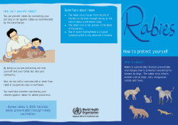 Protect Yourself from Rabies