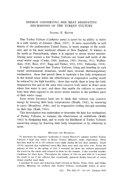 energy conserving and heat dissipating mechanisms of the turkey