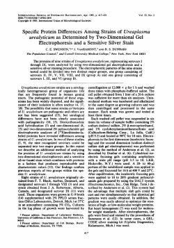 Specific Protein Differences Among Strains of UreapEasma